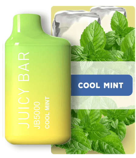 Juicy Bar JB5000 Disposable Vape - 5000 Puffs Cool Mint
