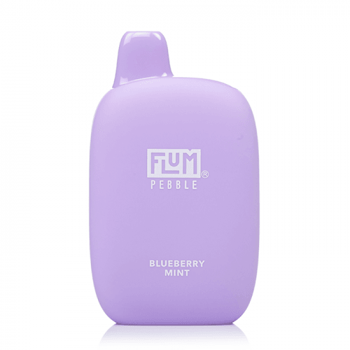 Flum Pebble Disposable Vape - 6000 Puffs Blueberry Mint